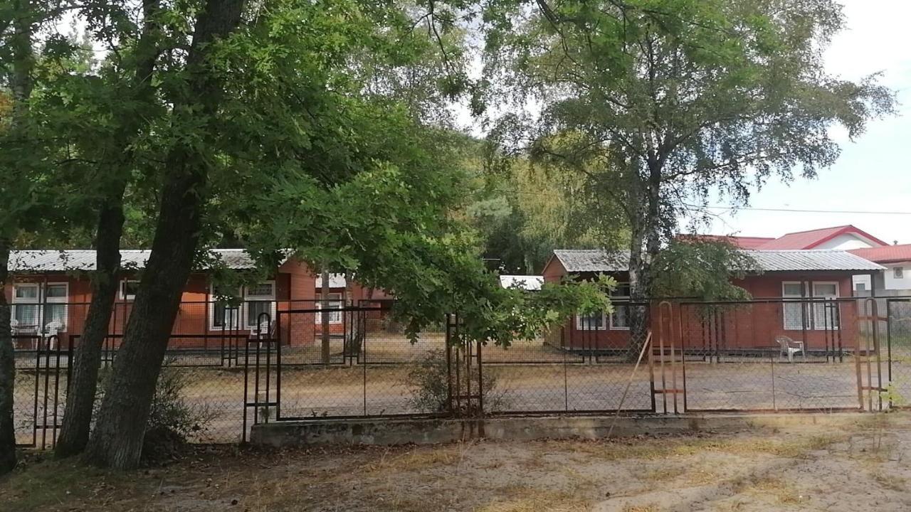Bohema Osada Villa Łazy Dış mekan fotoğraf